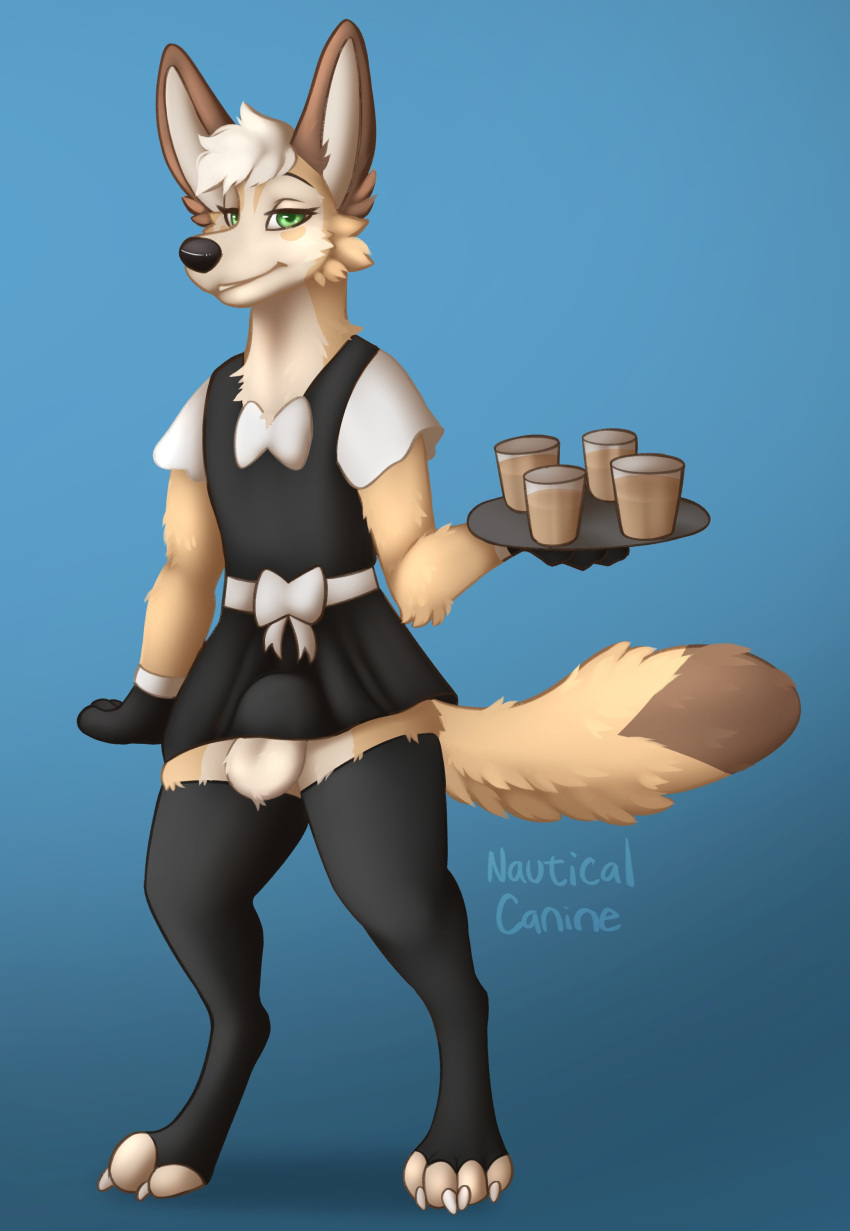 absurd_res anthro balls beverage big_ears black_clothing black_leggings black_legwear black_nose blue_background bow_ribbon brown_body brown_fur canid canine clothing divi_(divinefennec) fennec_fox fox fur genitals green_eyes hi_res leggings legwear maid_uniform male mammal nauticalcanine serving_beverage serving_tray simple_background solo tail true_fox uniform white_bow white_clothing