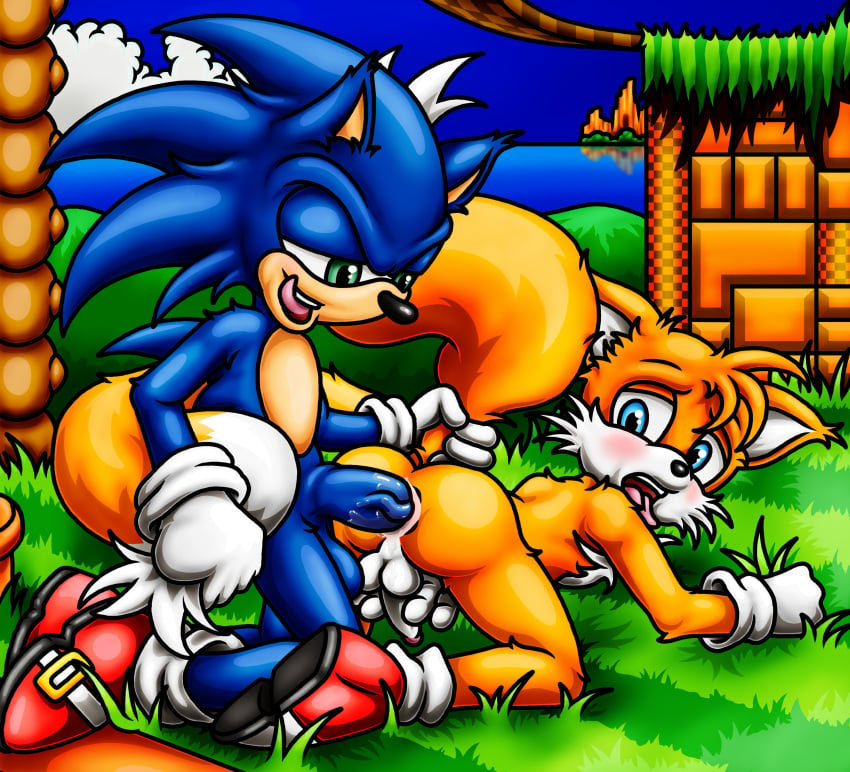 anal anus ass balls gay happyanthro penis sonic_(series) sonic_the_hedgehog sonic_the_hedgehog_(series) sonic_the_hedgehog_2 tails