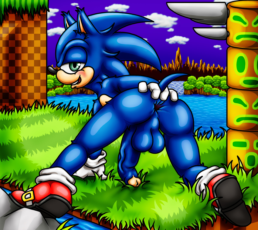 anus balls gaping_anus green_hill_zone happyanthro looking_at_viewer looking_back penis sonic_(series) sonic_1 sonic_the_hedgehog sonic_the_hedgehog_(series) spread_anus spread_ass