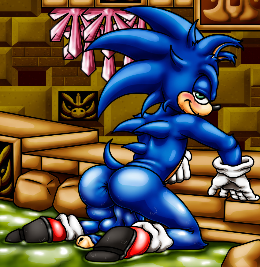 anus ass balls happyanthro penis sonic_(series) sonic_1 sonic_the_hedgehog sonic_the_hedgehog_(series) wet