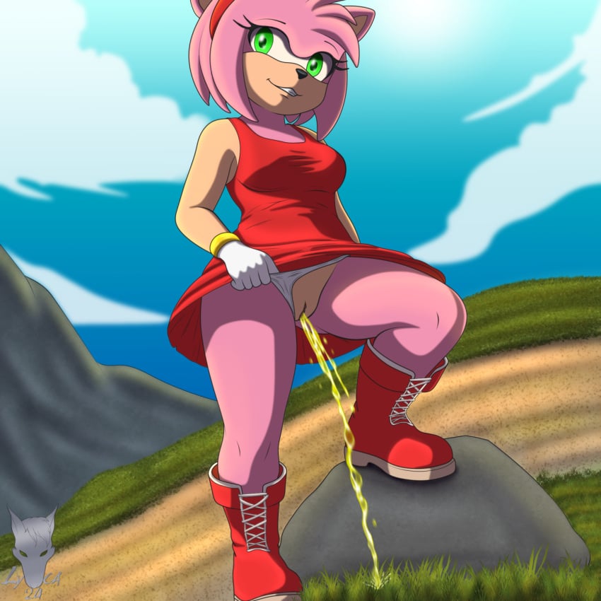 amy_rose anthro bodily_fluids boots breasts clothed clothing clothing_aside clothing_lift digital_media dress dress_lift eulipotyphlan female footwear genital_fluids genitals gloves grass green_eyes hair handwear hedgehog hi_res looking_at_viewer lycadio mammal outside panties panties_aside peeing peeing_on_ground pink_body plant pussy rock sega shoes smile solo sonic_(series) sonic_the_hedgehog_(series) underwear underwear_aside urine urine_on_ground urine_stream watersports