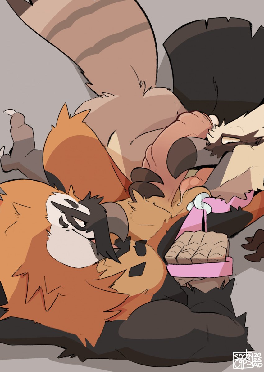 accipitrid accipitriform anthro avian balls beak bearded_vulture bird bodily_fluids claws digital_drawing_(artwork) digital_media_(artwork) duo erection fur genitals glans hi_res humanoid_genitalia humanoid_penis levante_(enlas) licking male male/male old_world_vulture oral penile penis penis_lick saliva sex sodacaps solo tail tongue vulture