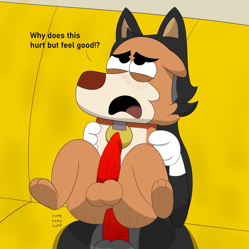 1:1 absurd_res anal anal_sex anthro balls big_penis black_body black_eyebrows black_eyes black_fur blush boy_girl_dog_cat_mouse_cheese brown_body brown_fur canid canine canis collar colossalstars dialogue dog_(boy_girl_dog_cat_mouse_cheese) domestic_dog duo english_text erection eyebrows fur genitals grey_body grey_fur hi_res male male/male male_penetrated male_penetrating male_penetrating_male mammal multicolored_body multicolored_fur penetration penile penile_penetration penis penis_in_ass sex slightly_chubby slightly_chubby_male tan_body tan_fur text thick_thighs two_tone_body two_tone_fur