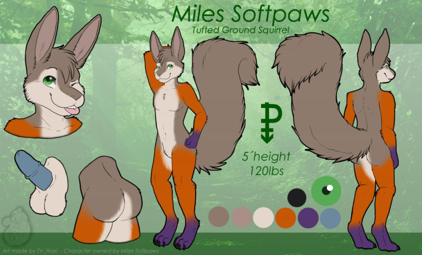 anthro balls blue_penis foxxie_softpaws male mammal model_sheet penis rodent solo squirrel tv_thari_(artist)