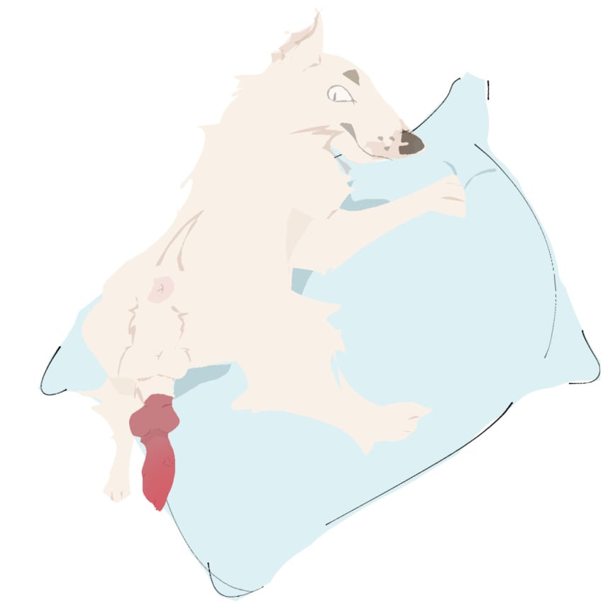 Animal Genitalia Rule 34 Image
