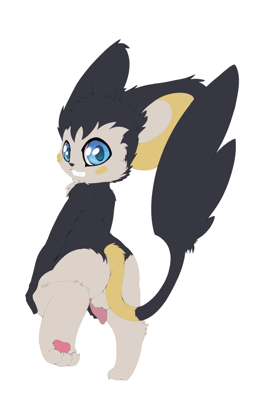 1boy 2014 3_toes absurd_res anthro anthrofied ass back barefoot big_ears big_eyes blue_eyes claws digital_media_(artwork) emolga erection fangs feet flat_colors floorninja flying_squirrel furry grey_fur grin hand_on_penis hi_res holding leg_up looking_at_viewer looking_back male male_only mammal nintendo nude on_one_leg pawpads paws penis penis_backwards perineum pokémon_(species) pokemon pokemon_bw pokemorph rear_view rodent simple_background smile solo standing tail tapering_penis teeth testicles tumblr video_games white_background white_fur yellow_fur