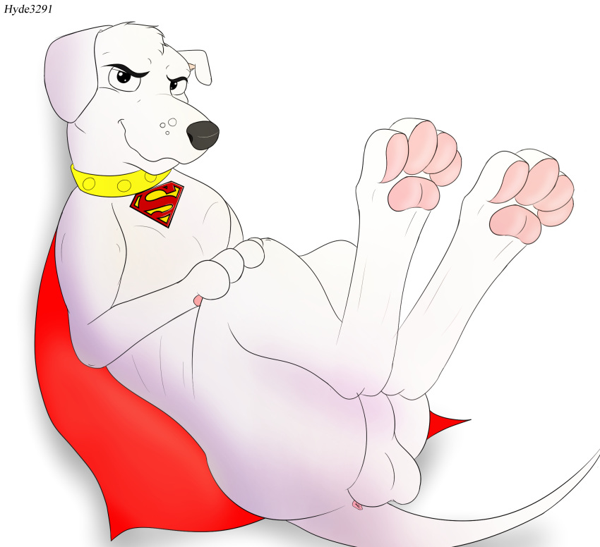 2018 animal_genitalia anus ass balls canine canine_genitalia cape cartoon_network clothing collar dc dc_comics feral fur hyde3291 invalid_tag krypto krypto_the_superdog labrador_retriever male_only mammal pawpads paws penis pose simple_background smile superdog toes white_background white_fur