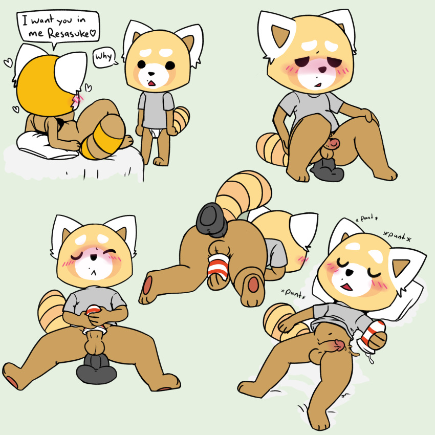 aggressive_retsuko anal anal_masturbation anal_sex anthro balls dildo female fernut inviting male mammal masturbation penetrable_sex_toy penetration penile_masturbation penis red_panda resasuke retsuko sanrio sex_toy smooth_fur straight toying_self