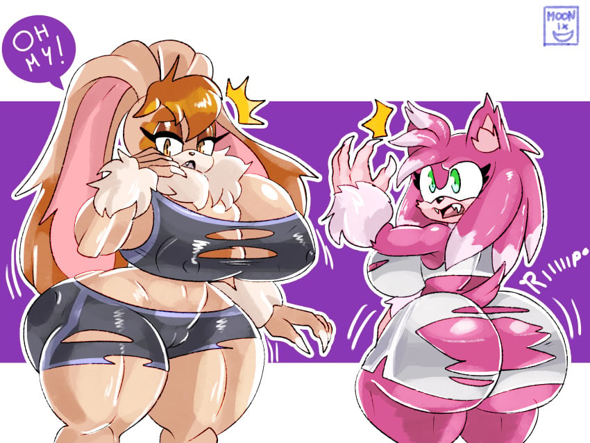 Amy Rose (Sonic (Series)) Rule 34 Image