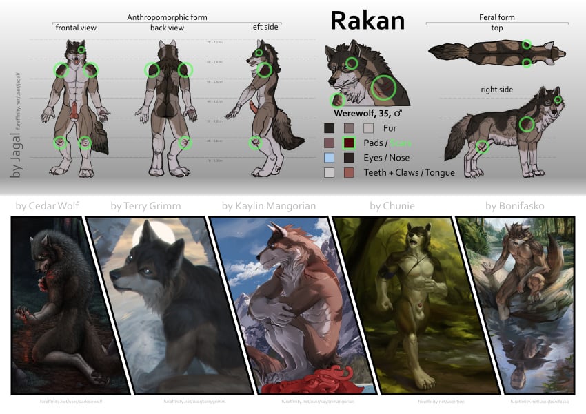 2018 anthro anthro_only blue_eyes bonifasko canine cedarwolf chunie digital_media_(artwork) furry jagal kaylin kaylinmangorian male male_only mammal model_sheet no_humans rakan_(werewolf) scar simple_background solo terry were werewolf