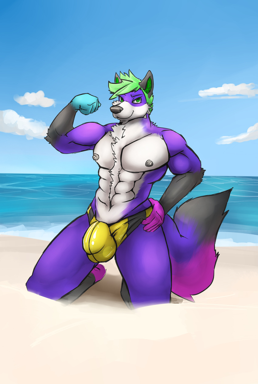 anthro beach bulge canine clothing flexing fox kneeling looking_at_viewer male male_only mammal muscular muscular_male outside pecs seaside smile solo speedo swimsuit wolkewolf_(artist)