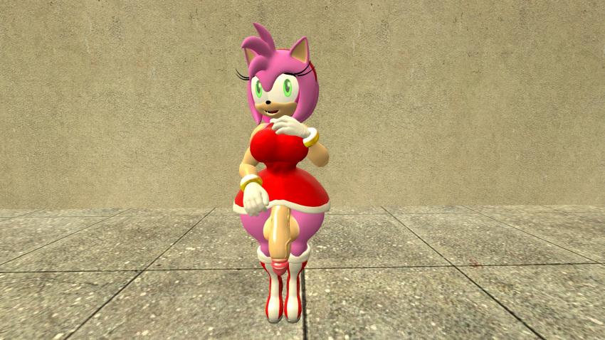 Amy Rose (Sonic (Series)) Rule 34 Image