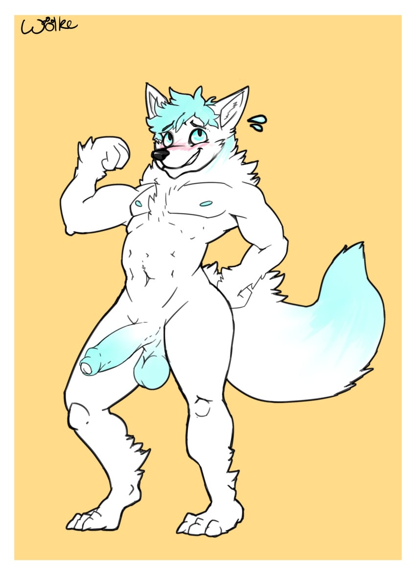 anthro balls blush canine flexing half-erect humanoid_penis male male_only mammal penis smile solo standing uncut wolkewolf_(artist)