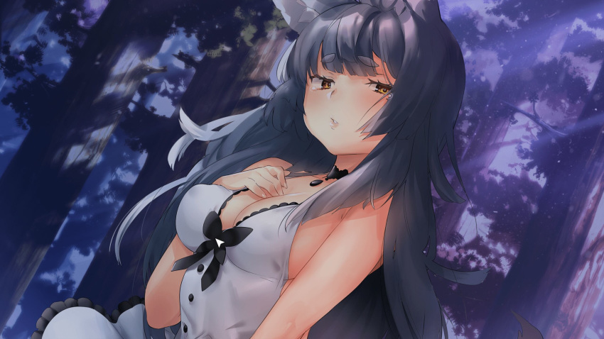 1girls bow buttons cleavage cleavage_cutout collar cursor dress eyebrows_visible_through_hair female female_focus female_only fluffy_ears gray_fur gray_hair grey_fur grey_hair highres long_hair looking_at_viewer mirari_(wolf_tails) mouse_cursor necklace night razzart_visual sad sitting solo solo_female solo_focus tears visual_novel wilderness wolf_ears wolf_girl wolf_tail wolf_tails woods yellow_eyes