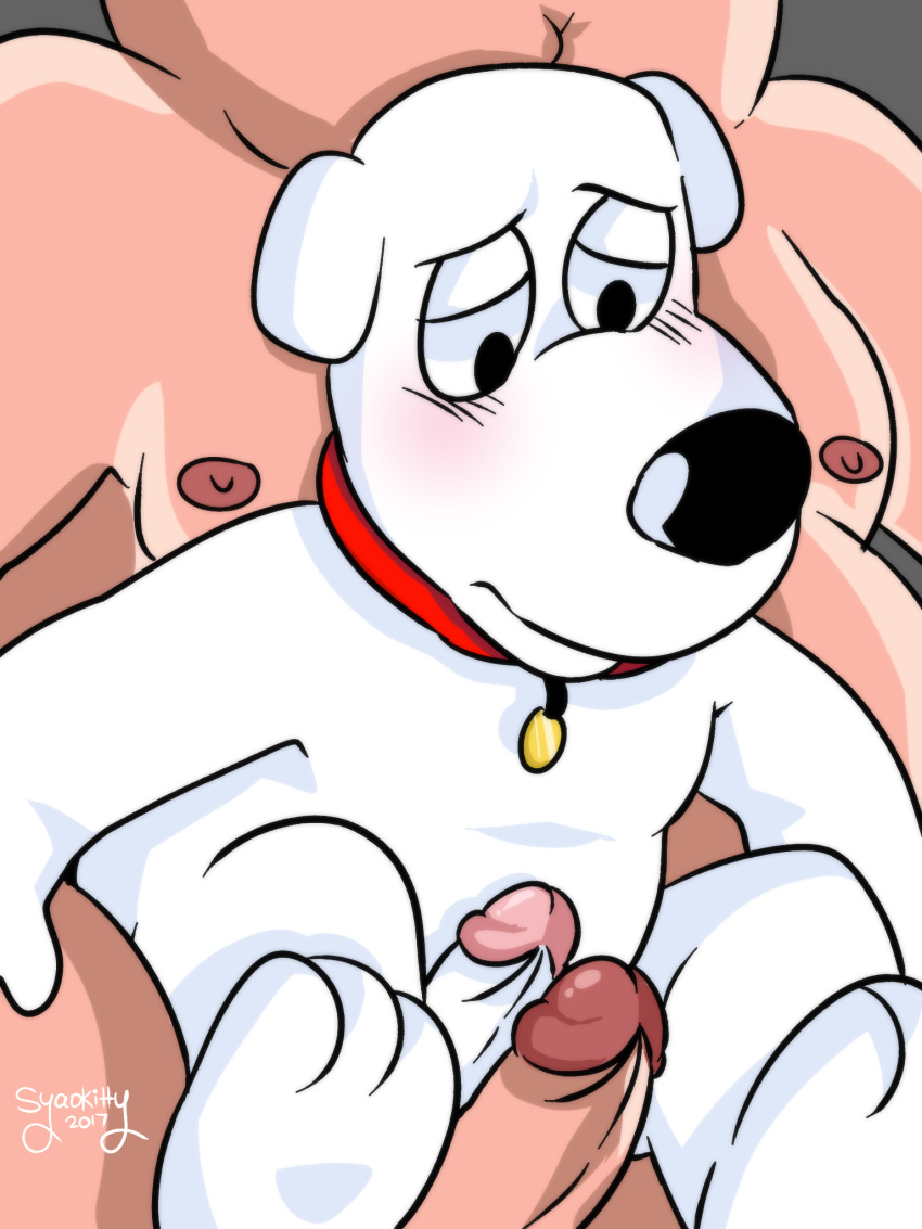 anthro brian_griffin canine collar duo erection family_guy hi_res human human_on_anthro humanoid_penis interspecies male male_only mammal nipples nude overweight penis peter_griffin syaokitty yaoi