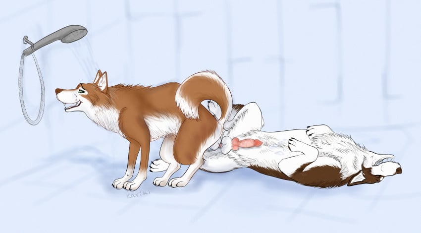 after_sex anal anal_knotting anal_sex animal_genitalia animal_penis canine canine_penis cum cum_on_stomach feral feral_on_feral fur furry hi_res husky kaviki knot knotting male mammal penetration penis sex shower yaoi