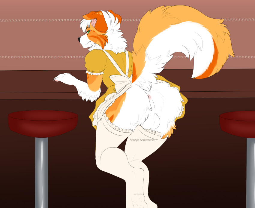 Kanon (Applejacksville) Rule 34 Image
