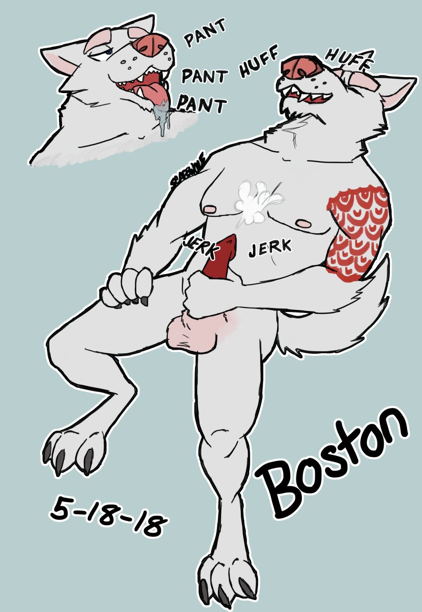 2018 absurd_res anthro anthro_only balls blue_background boston canine cum cumshot ejaculation erection fan_character fangs furry hi_res male male_only mammal masturbation muscular muscular_male no_humans open_mouth orgasm penile_masturbation penis saliva scapewolf simple_background solo tongue tongue_out were werewolf wolf