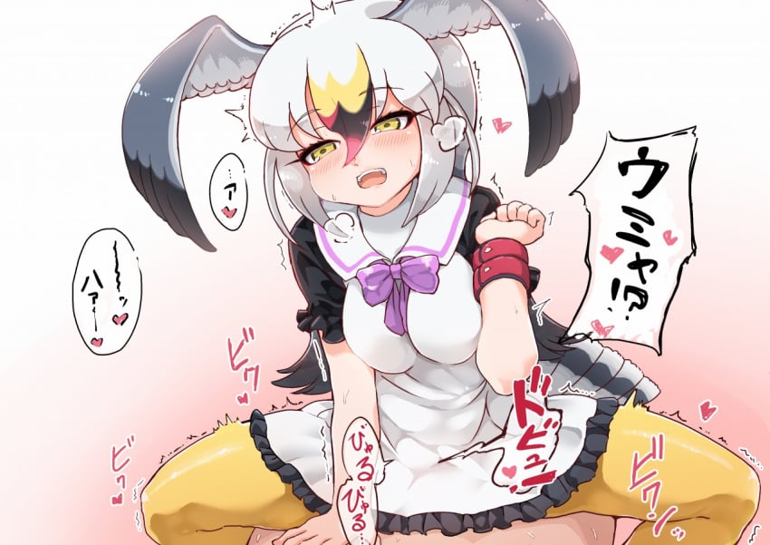 :d bird_tail black-tailed_gull_(kemono_friends) blush breath cowgirl_position dress eyebrows_visible_through_hair female frilled_dress frills gradient gradient_background grey_hair hair_between_eyes head_wings kemono_friends long_hair multicolored_hair open_mouth orgasm pantyhose sex short_sleeves simple_background smile solo_focus straddling sweat tanaka_kusao translation_request trembling white_hair wristband yellow_eyes yellow_legwear