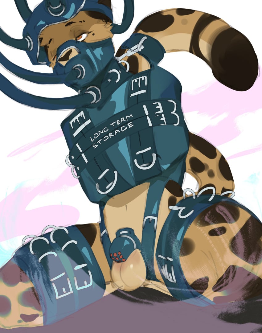 1boy 2022 abstract_background anthro balls bassenji blue_clothing blue_headgear blue_headwear bondage bondage_gear bound brown_nose brown_spots chastity_cage chastity_device cheetah clothing countershade_face countershade_tail countershade_torso countershading digital_drawing_(artwork) digital_media_(artwork) felid feline fur genitals headgear headwear hi_res kneeling legs_tied male male_only malesub mammal orange_eyes penis restraints solo spots spotted_body spotted_fur submissive submissive_male tan_body tan_countershading