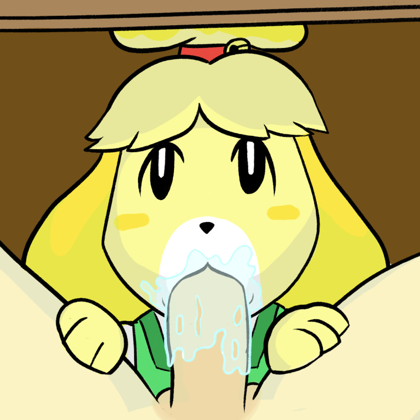 :>= animal_crossing anthro blowjob canine darkpatito fellatio female furry isabelle_(animal_crossing) nintendo oral penis pov saliva straight under_the_table year_request yellow_fur