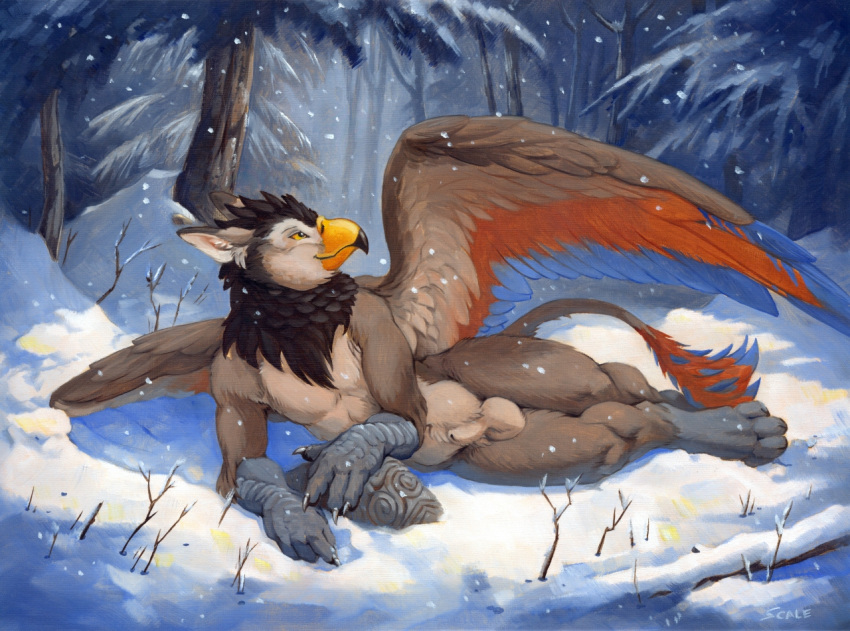 2019 4_toes 5_fingers animal_genitalia anthro avian balls beak day detailed_background digital_media_(artwork) feathered_wings feathers fingers forest gryphon lying male male_only nude on_side outside scale_(artist) sheath snow solo toes tree wings winter yellow_eyes