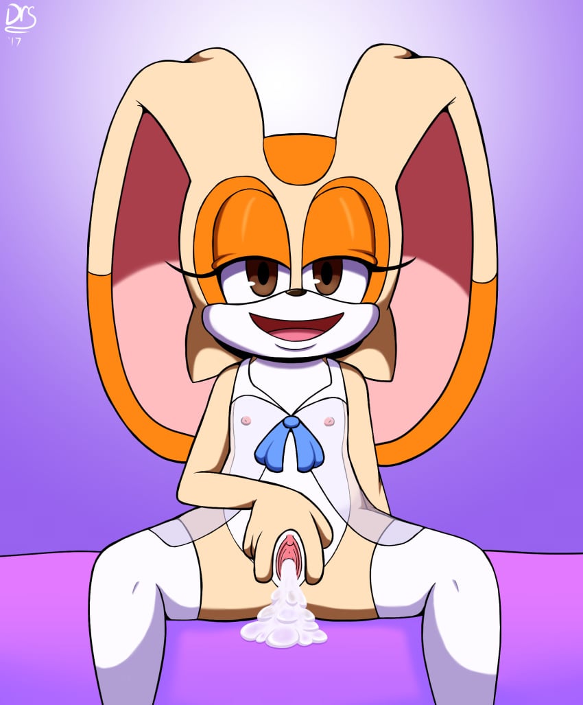 Cream The Rabbit (Sega) Rule 34 Image