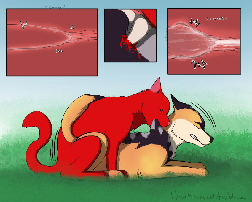 feral feral_on_feral firestar_(warriors) furry red_firestar thathornycat warriors_(cats) whythefuckishered