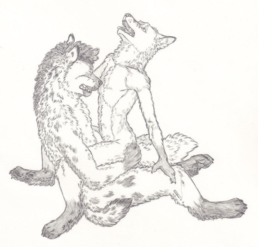 anal anal_sex anthro anthro_on_anthro canine cigarette claws closed_eyes duo fluffy fox gloves_(marking) greyscale hyena looking_pleasured male mammal markings mastery_position monochrome open_mouth pawpads penetration penis sex simple_background sitting skyfifer socks_(marking) toe_claws tongue tongue_out yaoi