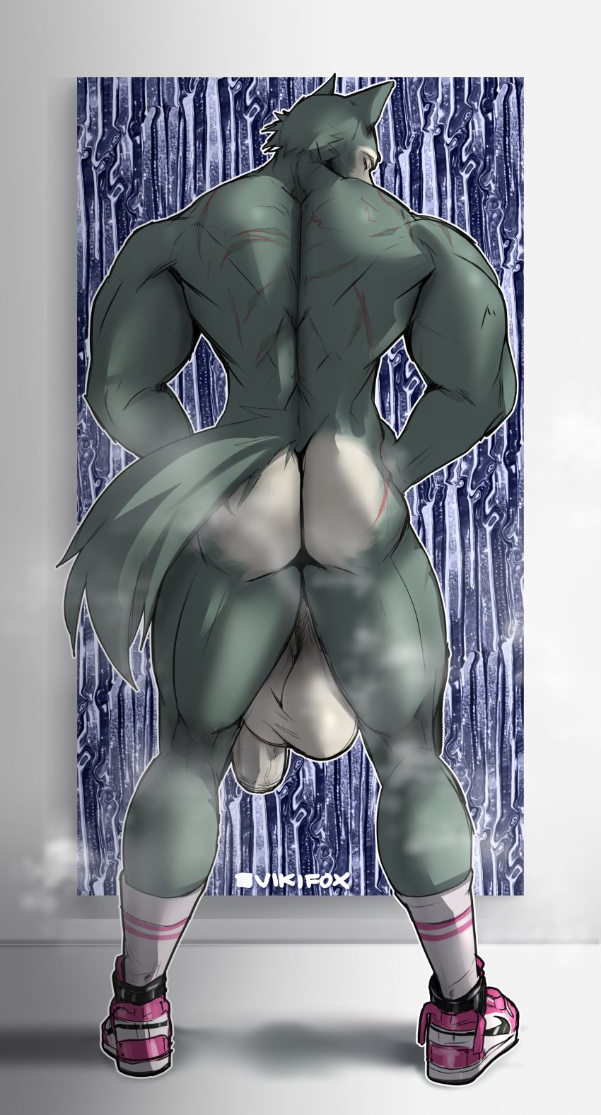 absurd_res anthro ass backsack balls beastars big_balls big_penis blue_body canid canine canis clothing footwear footwear_only genitals hi_res huge_balls huge_cock legoshi_(beastars) male mammal mostly_nude muscular muscular_male penis rear_view scar shoes socks solo standing tail vikifox wolf