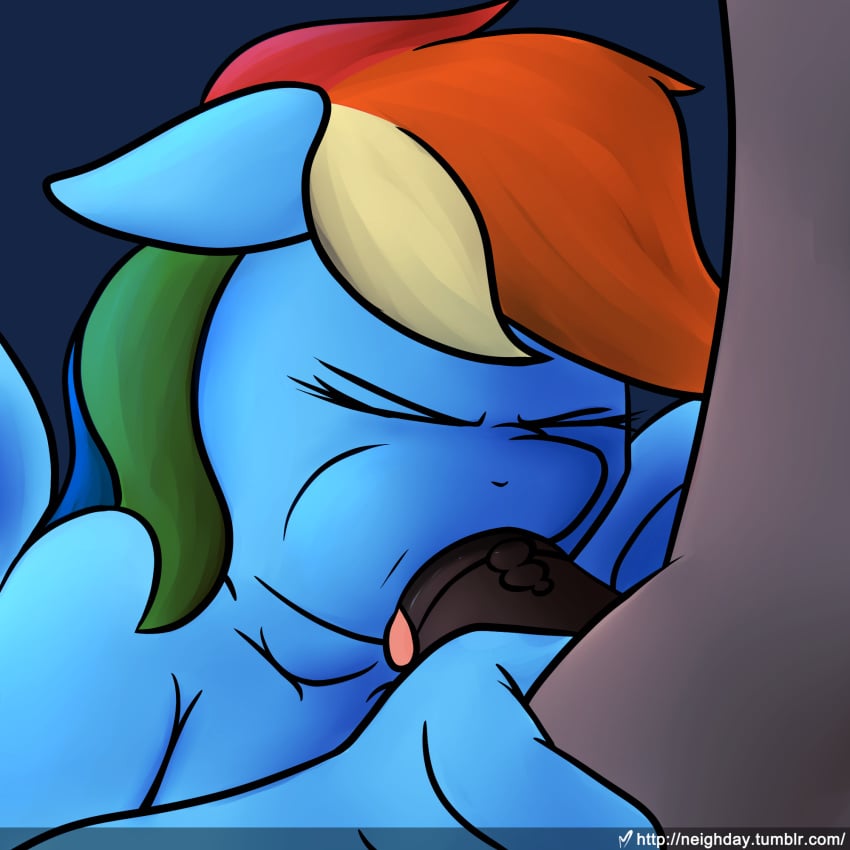 2016 anthro anthrofied blue_feathers blue_fur closed_eyes duo equine erection feathered_wings feathers fellatio female friendship_is_magic fur grey_background hair hi_res male mammal multicolored_hair my_little_pony neighday oral pegasus penis rainbow_dash_(mlp) rainbow_hair sex simple_background straight_hair tongue tongue_out wings