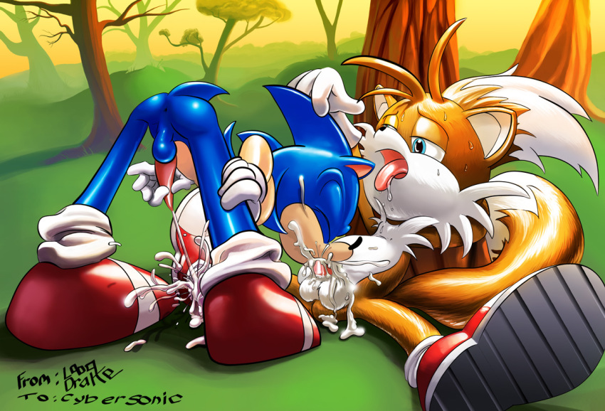 anthro ass bent_over cum day fellatio fox fur furry_tail hedgehog interspecies looqdrake male male_only multi_tail multiple_boys nude oral outdoors sega sonic_(series) sonic_the_hedgehog sonic_the_hedgehog_(series) sonic_the_hedgehog_2 straight_hair tail tails yaoi