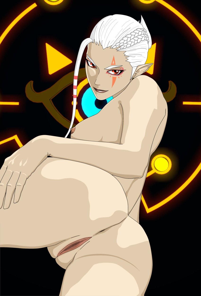 1girls female female_only impa_(hyrule_warriors) pussy sheikah