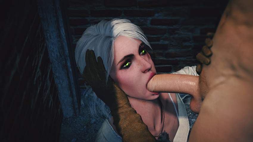 1girls 3d cd_projekt_red ciri fellatio oral sdbtt the_witcher_(series) the_witcher_3:_wild_hunt