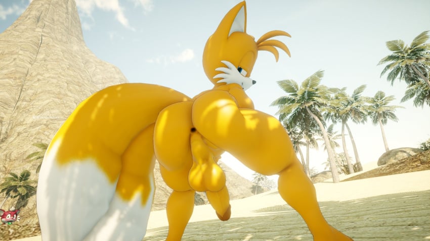 3d_(artwork) anthro anus artemissaturn ass athletic balls beach big_butt canid canine digital_media_(artwork) femboy fox genitals hi_res looking_back male mammal outside penis plant presenting presenting_hindquarters sega solo sonic_(series) sonic_the_hedgehog_(series) tail tails tails_the_fox tree twink
