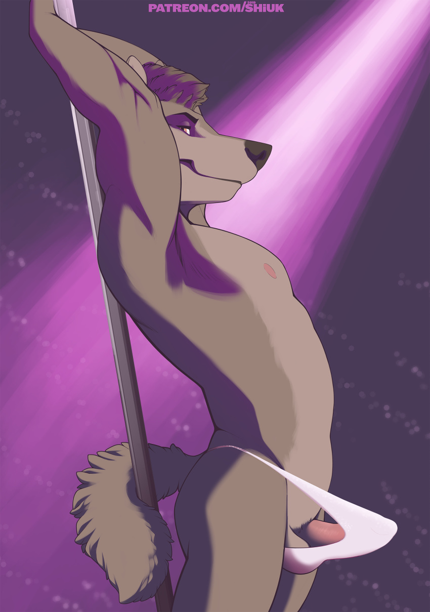 2019 Rule 34 Image