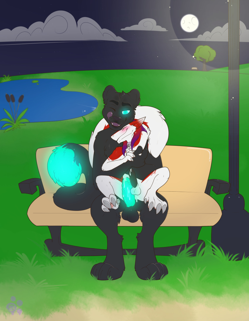 anthro azaly balls blush braided_hair cloud collar cum dipstick_tail duo erection feline fur girly glowing glowing_eyes grass hair hi_res long_hair long_tail male mammal moon multicolored_tail night panther penis precum public sergal sitting skoll yaoi yiffy1234