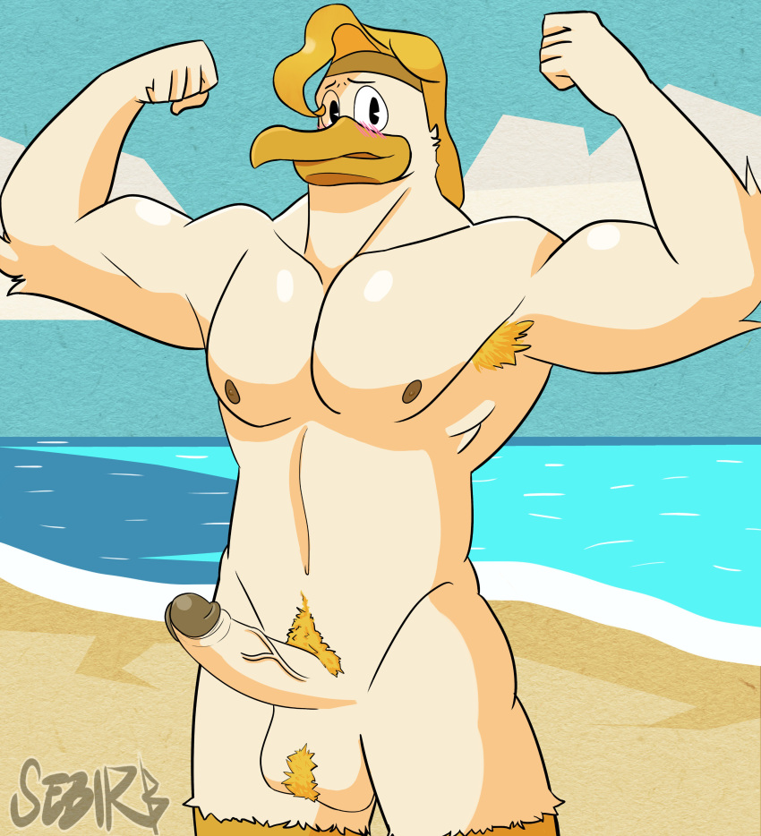 avian bird disney disney_channel disney_xd ducktales_(2017) male male_nipples male_only nude penis stork storkules testicles