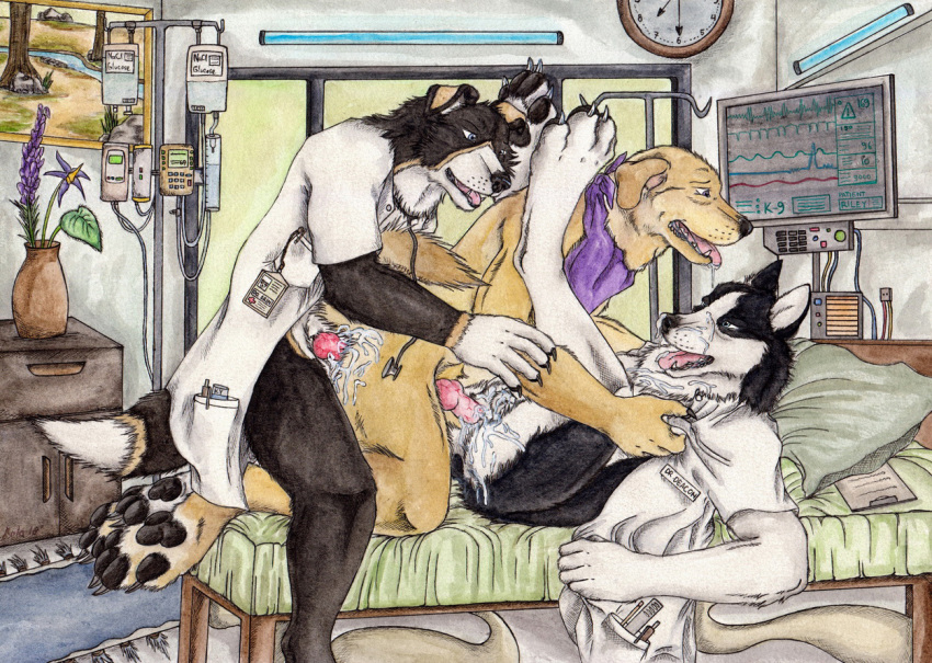 anatomically_correct animal_genitalia animal_penis anthro arin_michaelis bed border_collie canine canine_penis claws collie cum cum_in_ass cum_inside cum_on_fur cum_on_muzzle cum_while_penetrated deacon_(furrover) hospital hospital_bed husky inside knot kola_(artist) lab_coat labrador looking_pleasured male mammal pawpads paws penetration penis riley_(kugetsu) siberian_husky toe_claws tongue tongue_out yaoi yellow_labrador