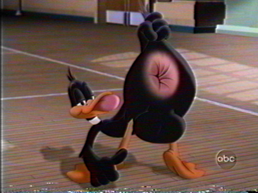 Daffy Duck (Looney Tunes) Rule 34 Image