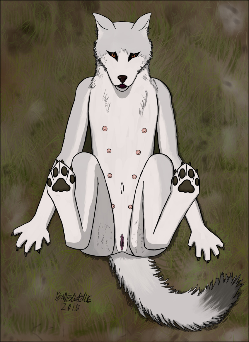 2018 anthro ballisticblue canine canis_peritissimus digital_media_(artwork) female fur looking_at_viewer lying mammal nipples nude on_back open_mouth pawpads paws pinup pose presenting pussy solo spread_legs spreading tiahk tongue white_fur wolf