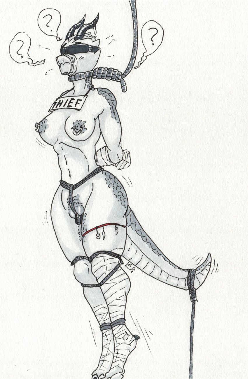 2025 absurd_res ankles_tied anthro blindfold bondage bondage bound criminal crotch_rope dildo execution female gag gagged gallows hands_behind_back hanged hcrimsonknight hi_res imminent_execution kobold legs_tied muzzle_(object) muzzled nipple_piercing nipples noose nooseplay peril piercing rope rope_around_neck scalie sex_toy sign signature solo standing_on_toes thief traditional_media_(artwork) waiting wrappings