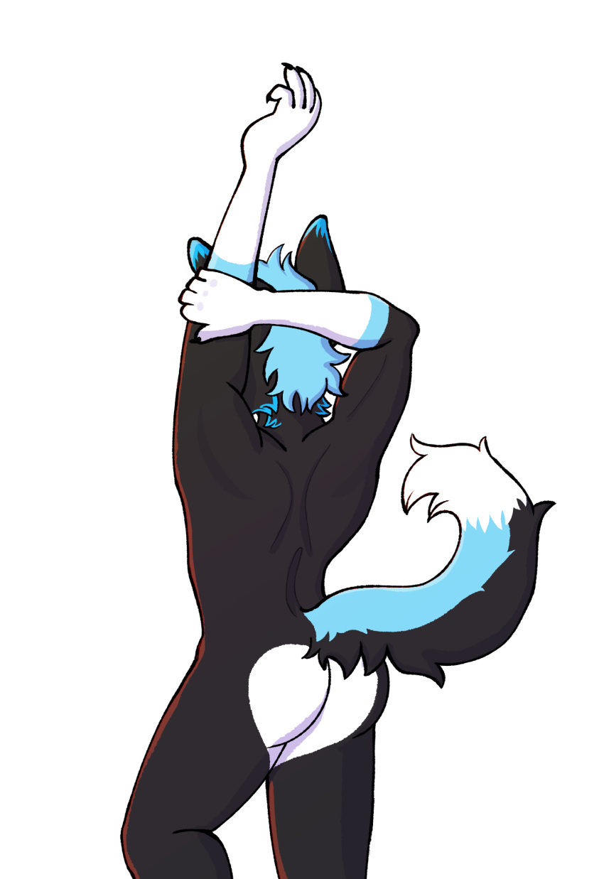 Loki The Husky Rule 34 Image