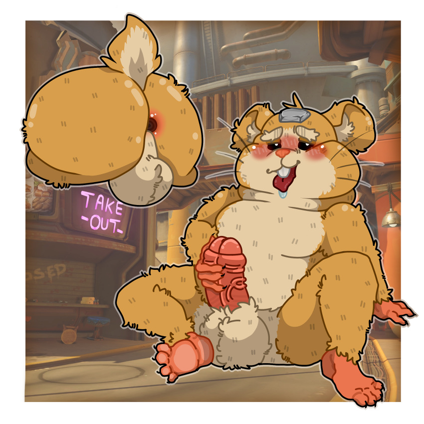 anus ass blizzard_entertainment blush chubby furry hairy_balls hammond_(overwatch) hamster huge_balls junkertown_(map) male_only overwatch penis rodent tagme thick_penis tongue tongue_out veiny_penis