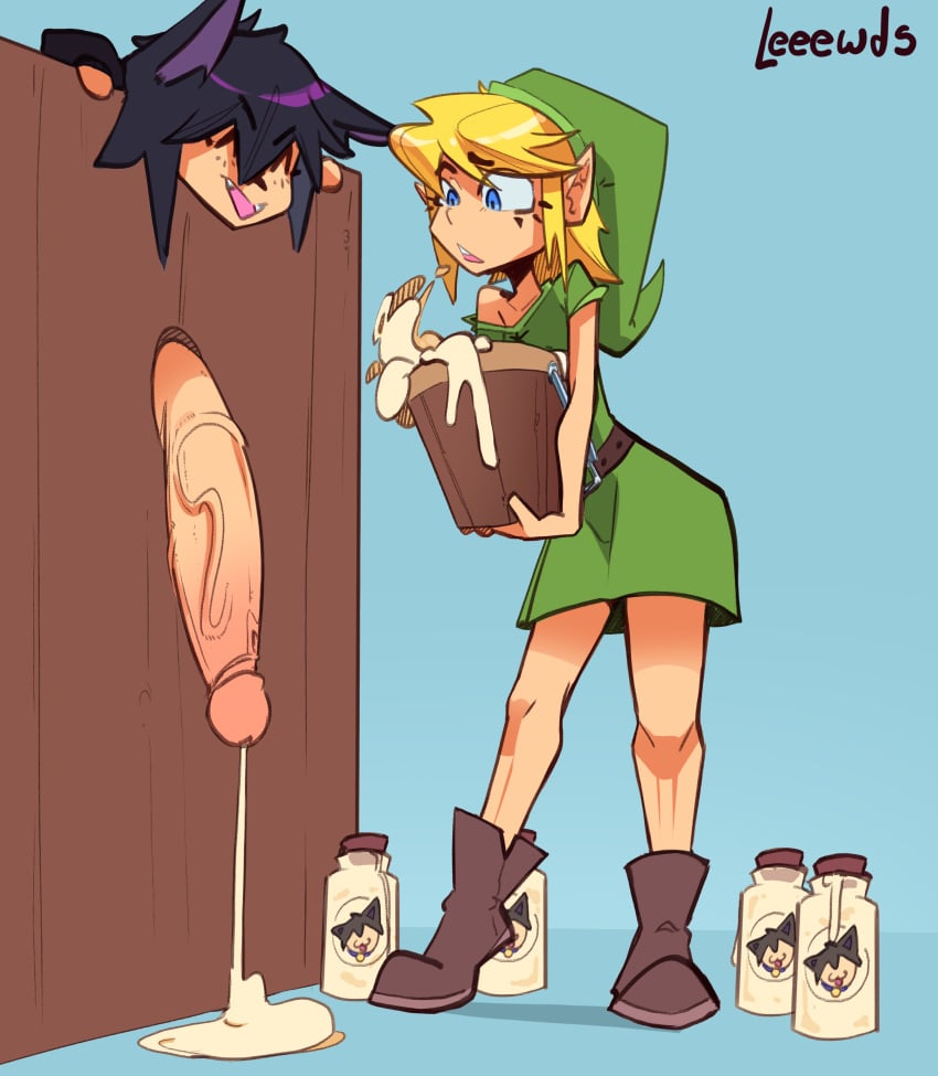 Link (The Legend Of Zelda) Rule 34 Image