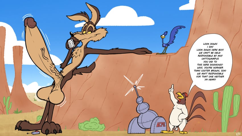Road Runner (Looney Tunes) Rule 34 Image