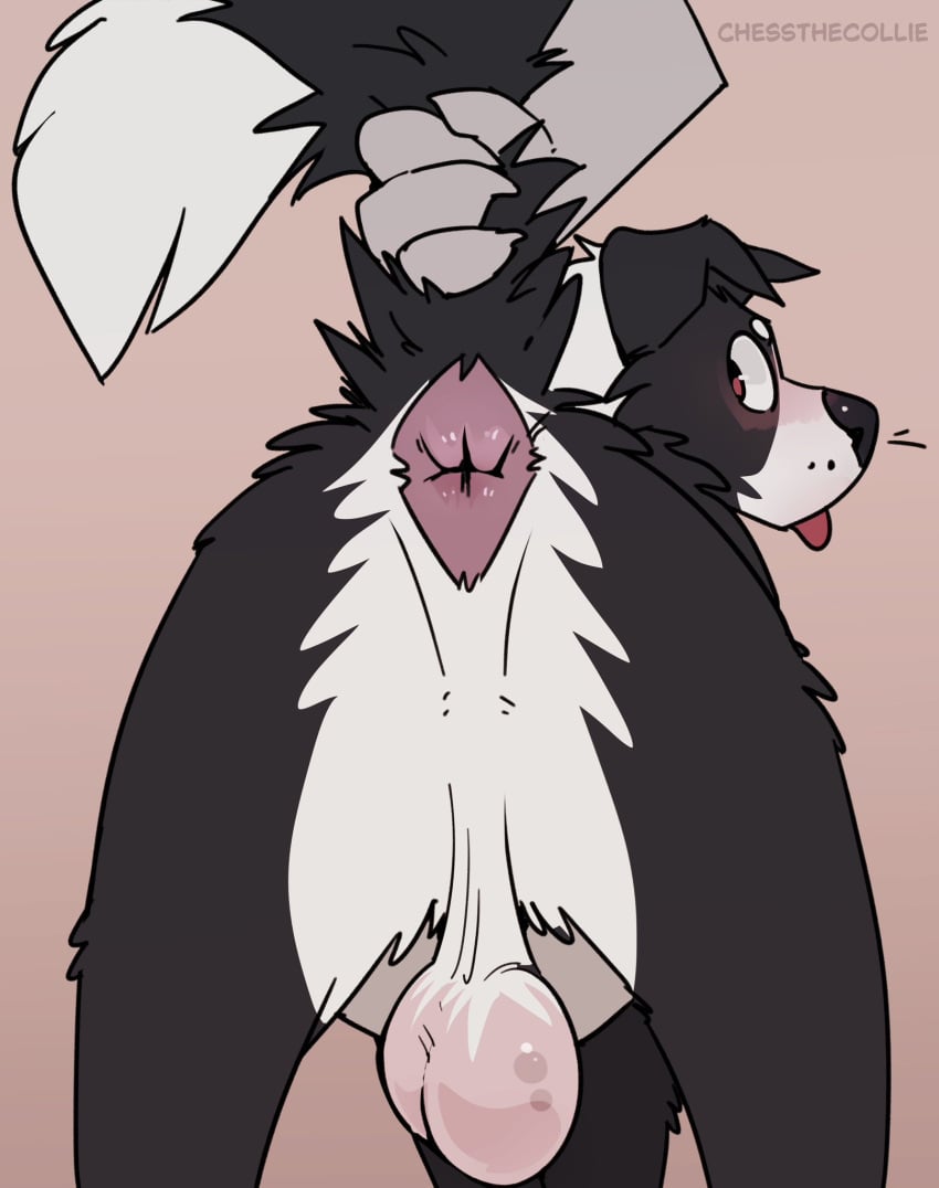 Chess (Mintyderg) Rule 34 Image