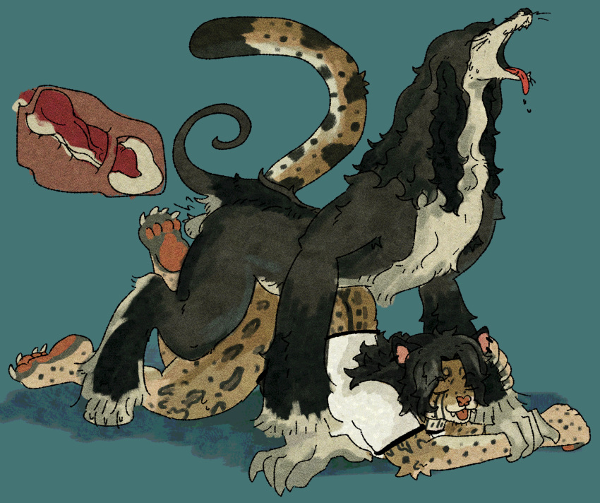 Trans (Lore) Rule 34 Image