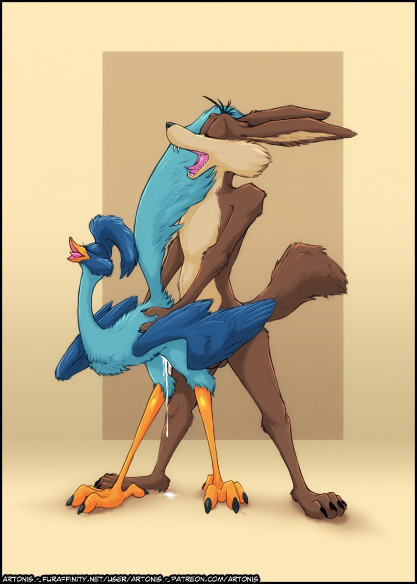 Road Runner (Looney Tunes) Rule 34 Image
