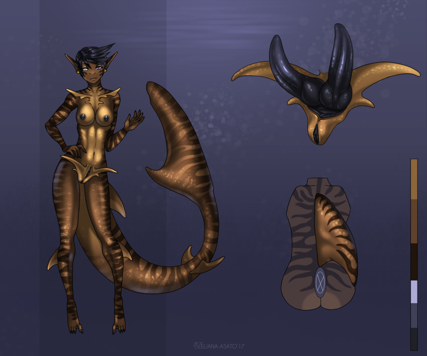 1futa 2017 anthro black_hair black_penis breasts diphallia diphallism eliana-asato fish full-package_futanari futanari hair herm heterochromia intersex knot marine model_sheet multi_penis penis pussy shark short_hair